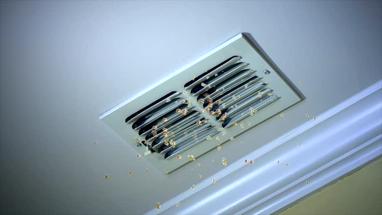 Best Ventilation Cleaning Services  in Yosemite Lakes, CA